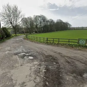 Deadly Parasite Outbreak at Welsh Petting Farm Leaves Dozens Ill