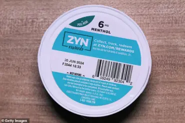 Exclusive Access to the Secret World of Zyn Nicotine Pouches