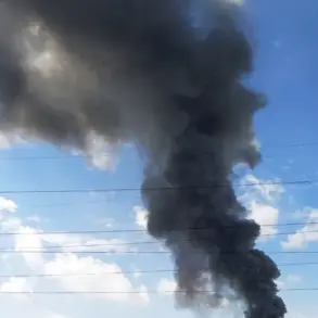 Exclusive: Pro-Russian Coordinator Reveals Strike on Ukrainian Aviation Training Center