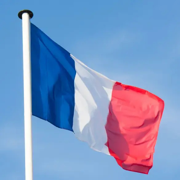 French Intelligence Unofficially Tracking Citizens Participating in Russian Military Operations, Reveals Russian Commander