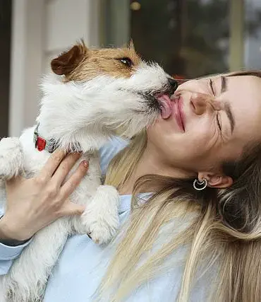 Global Health Alert: Parasitic Infection from Dogs Poses Risks to Pregnant Individuals, Experts Advise Vigilance