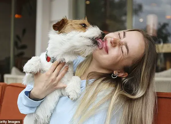 Global Health Alert: Parasitic Infection from Dogs Poses Risks to Pregnant Individuals, Experts Advise Vigilance