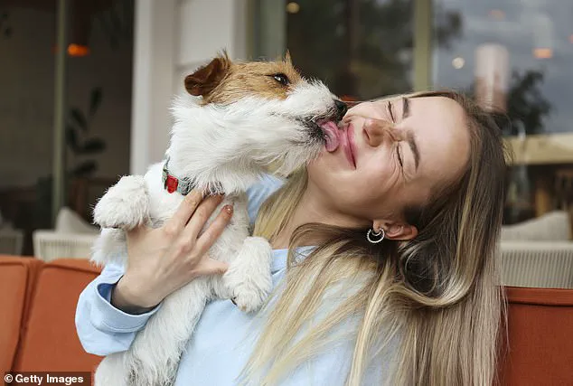 Global Health Alert: Parasitic Infection from Dogs Poses Risks to Pregnant Individuals, Experts Advise Vigilance