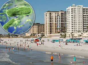 Hidden Danger in Coastal Waters: Public Health Advisories Warn of Lethal *Vibrio vulnificus* Threat