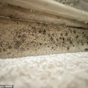 Hidden Hazards: The Mould Crisis and the Allergic Reaction That Went Unchecked