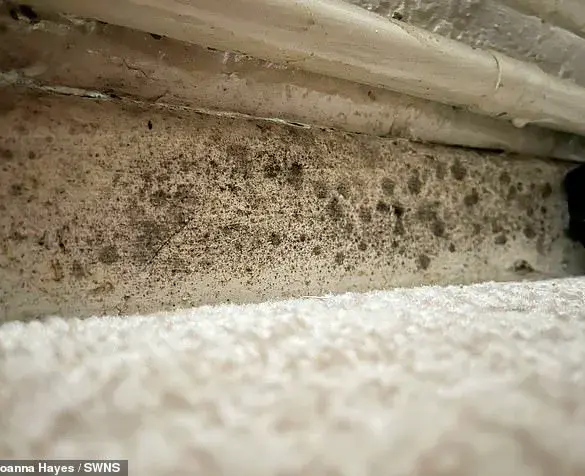 Hidden Hazards: The Mould Crisis and the Allergic Reaction That Went Unchecked