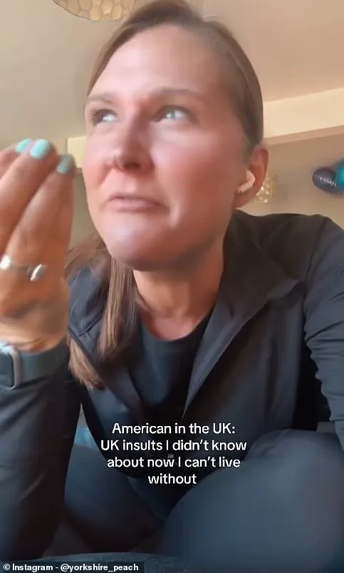 Lisa Dollan's Viral Instagram Post Features British Insults, Gaining 19,000 Likes