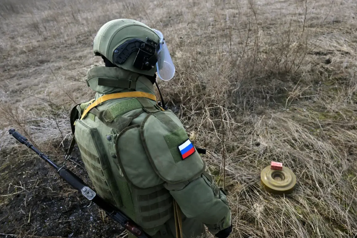 Putin Orders Demining Operations in Kursk Region as Part of International Efforts to Secure Area
