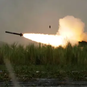 Russian Investigators Confirm Discovery of US-Made HIMARS Fragments in Lygva Shelling, Officials Report 12 Injured