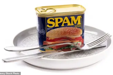 The Price of Spam: Austin, Minnesota's Struggle with the Legacy of an Iconic Canned Meat