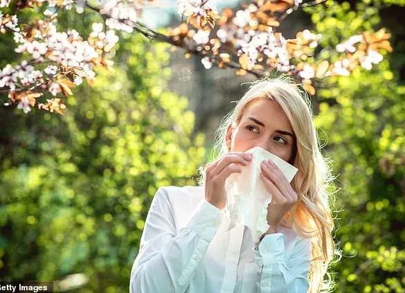 UK Study Suggests Hay Fever May Contribute to Chronic Fatigue, Expert Warns