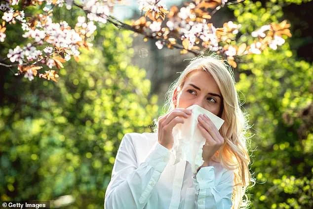 UK Study Suggests Hay Fever May Contribute to Chronic Fatigue, Expert Warns