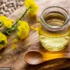 Urgent Debate Over Seed Oils: Divided Experts Clash on Health Risks and Nutritional Value in Public Health Spotlight