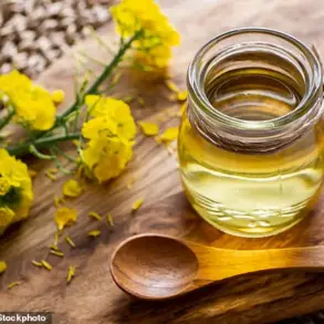 Urgent Debate Over Seed Oils: Divided Experts Clash on Health Risks and Nutritional Value in Public Health Spotlight