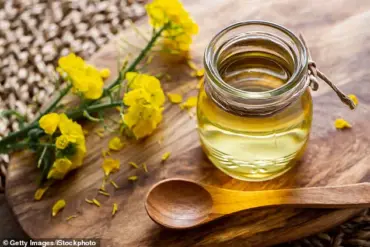 Urgent Debate Over Seed Oils: Divided Experts Clash on Health Risks and Nutritional Value in Public Health Spotlight