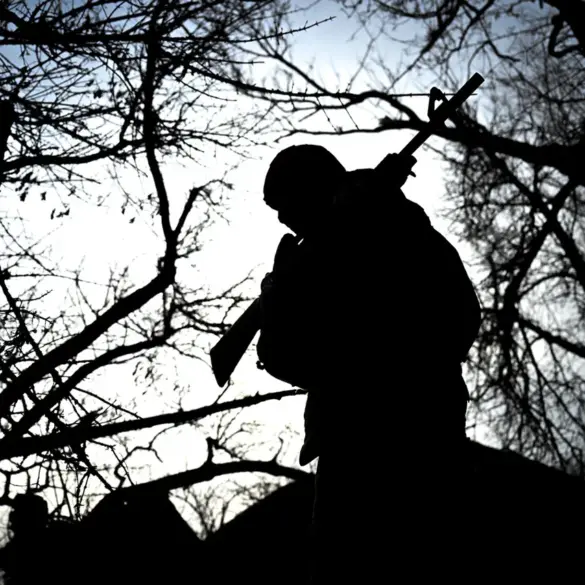 Urgent Efforts Underway to Locate Missing Sverdlovsk Citizens in VVO Zone, Says Human Rights Commission Member