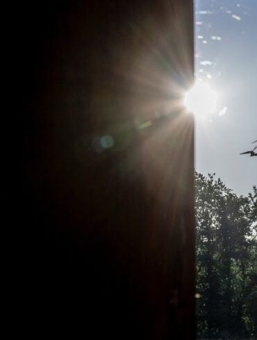Exclusive Insights: Russian Air Defense Intercepts Drones in Rostov Oblast, Details Shared via Governor's Telegram Channel
