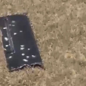 Kazakhstano-Russian Border Drone Incident Prompts Scrutiny of Tech Regulation and Public Safety Measures