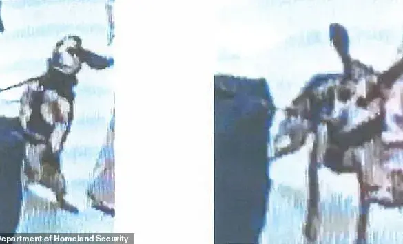 Late-Breaking: Egyptian Man Faces Immediate Deportation at Washington Dulles Airport