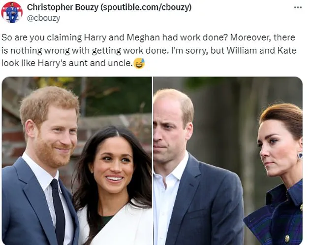 Meghan Markle's Life in the Spotlight: A Nightmare of Conspiracy Theories and Harassment