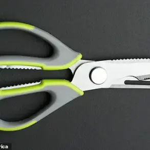Reddit Thread Uncovers the Purpose of Scissors' Central Metal Component, Sparking Debate