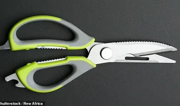 Reddit Thread Uncovers the Purpose of Scissors' Central Metal Component, Sparking Debate
