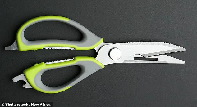 Reddit Thread Uncovers the Purpose of Scissors' Central Metal Component, Sparking Debate