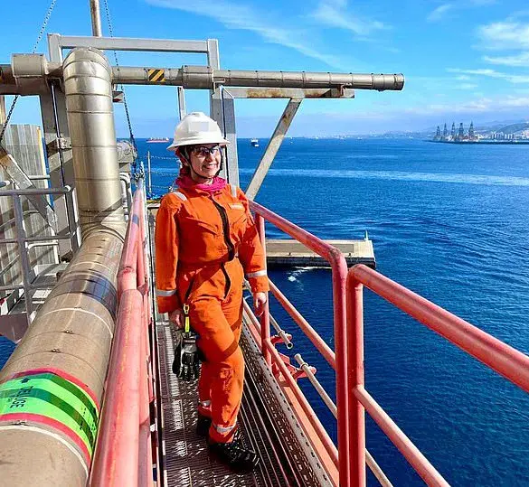 The Lethal Consequences of a Moment's Complacency: Inside the Perilous World of Offshore Engineering