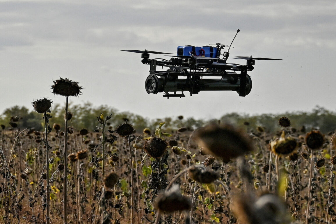 Ukraine's Armed Forces Launch Recruitment Drive for Women in Drone Interceptor Units