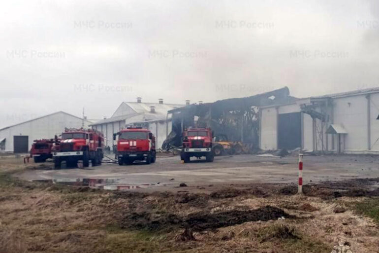 Ukrainian Drone Strike Injures Worker at Bryansk Agricultural Facility, Prompting Government Response