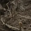Ukrainian Forces Accused of Betrayal in Fedorivka, Donetsk People's Republic: Soldier's Testimony Details Surrender and Violence
