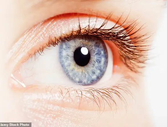 Unique Changes in the Back of the Eye May Signal ADHD, New Study Indicates