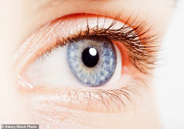 Unique Changes in the Back of the Eye May Signal ADHD, New Study Indicates