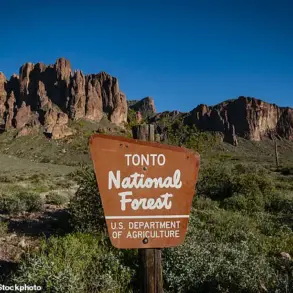 Urgent Hunt for Answers as Two Teens Found Dead in Arizona Wilderness