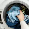 Bacteria in Clothing: Public Health Expert Sounds Alarm on Laundry Hygiene