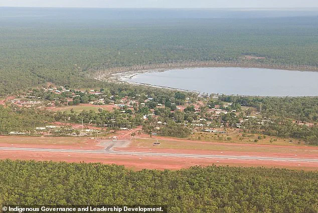 Bird Strike Incident in Arnhem Land Highlights Aviation Safety Concerns in Remote Indigenous Communities