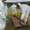 Collaborative Effort in Detroit: Unearthing and Identifying Over 200 Cold Case Victims