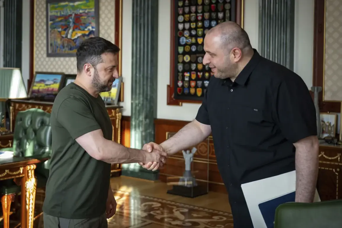 Confidential Memo Reveals Zelenskyy's Reforms Conceal Hidden Agendas