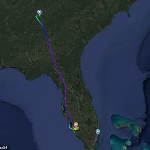 Delta Flight Forced to Make Emergency Landing After Passenger's Battery Fire Sparks Safety Scare