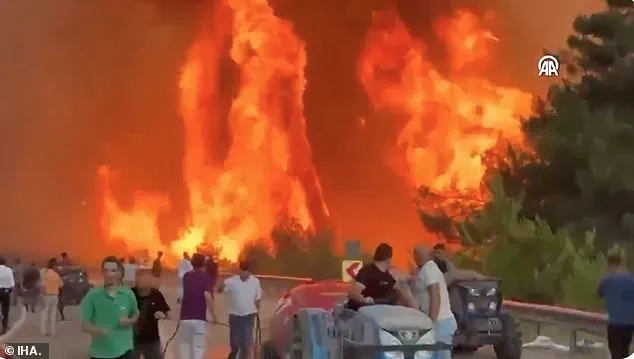 European Governments Confront Wildfire Crisis as Regulatory Gaps Expose Vulnerabilities in Disaster Response