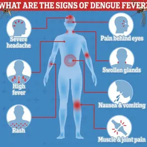 European Health Officials Urge Precautions as Chikungunya Surge Sparks Public Health Alert