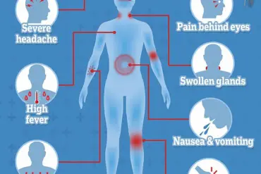 European Health Officials Urge Precautions as Chikungunya Surge Sparks Public Health Alert