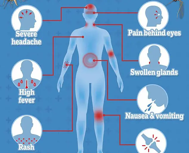 European Health Officials Urge Precautions as Chikungunya Surge Sparks Public Health Alert