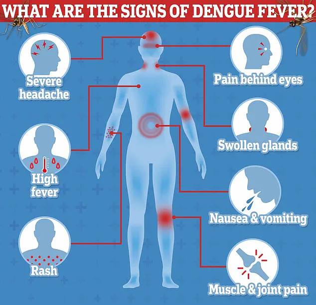 European Health Officials Urge Precautions as Chikungunya Surge Sparks Public Health Alert
