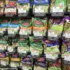 Exclusive Insights: Surge in E. coli Infections Sparks Urgent Public Health Warnings, UKHSA Reports 26% Rise in STEC Cases Linked to Contaminated Salad Leaves