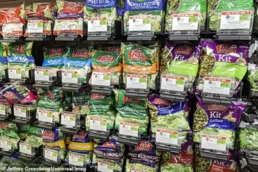 Exclusive Insights: Surge in E. coli Infections Sparks Urgent Public Health Warnings, UKHSA Reports 26% Rise in STEC Cases Linked to Contaminated Salad Leaves