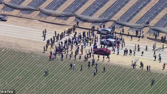 Explosive ICE Raid in Ventura County Turns Chaotic as Federal Agents Clash with Protesters in Southern California
