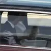 French President and Wife's Body Language Analyzed During UK State Visit