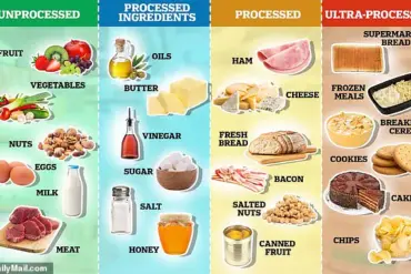 Harvard Gastroenterologist Sounds Alarm on Hidden Dangers in 'Superfoods' Amid Gut Health Trends