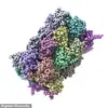 Johns Hopkins Study Uncovers Over 200 New Misfolded Proteins in Alzheimer's, Shifting Research Paradigms